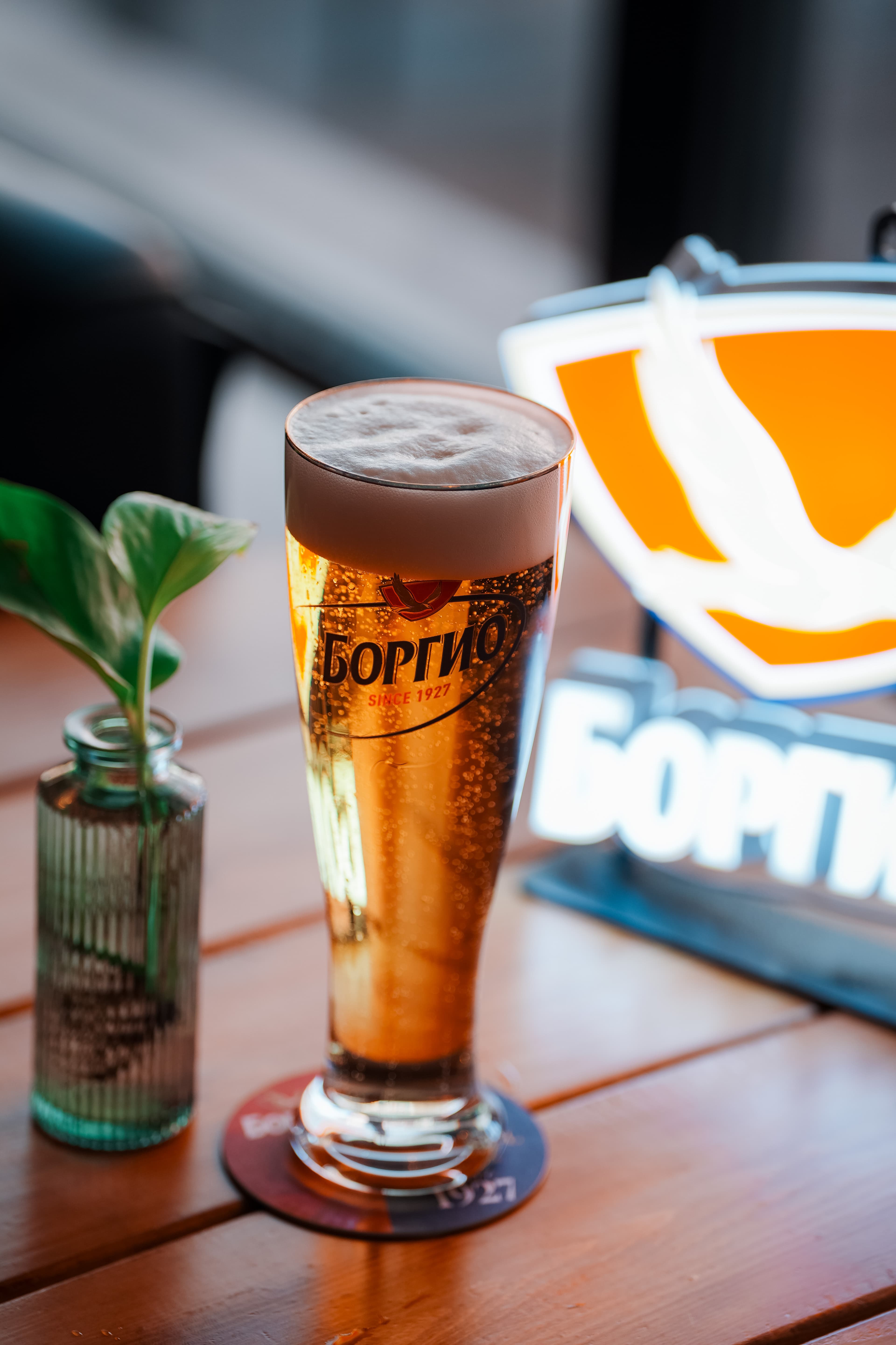 BORGIO DRAUGHT